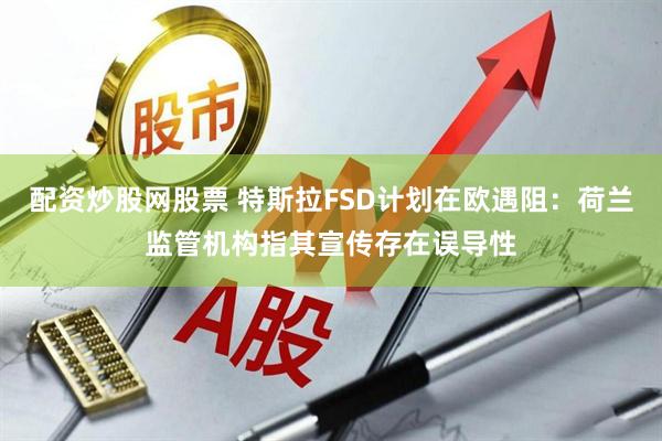 配资炒股网股票 特斯拉FSD计划在欧遇阻：荷兰监管机构指其宣传存在误导性